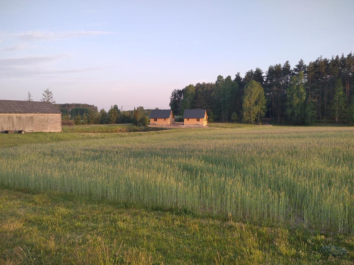 Wczasy Na Kaszubach Villa Gorki  Exterior photo