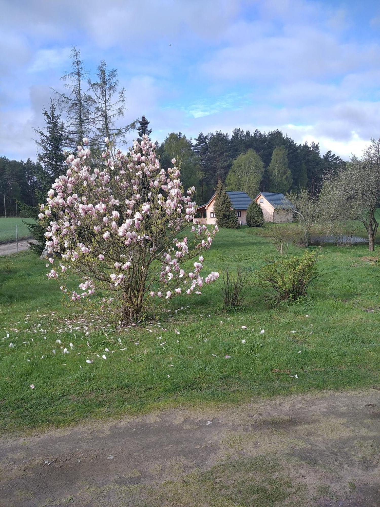 Wczasy Na Kaszubach Villa Gorki  Exterior photo